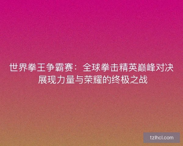 世界拳王争霸赛：全球拳击精英巅峰对决 展现力量与荣耀的终极之战