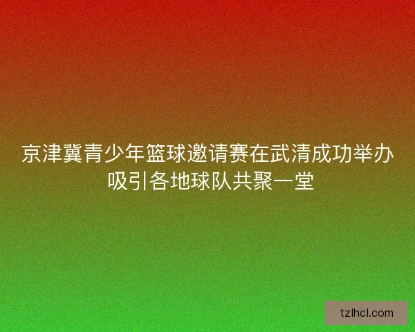 京津冀青少年篮球邀请赛在武清成功举办 吸引各地球队共聚一堂